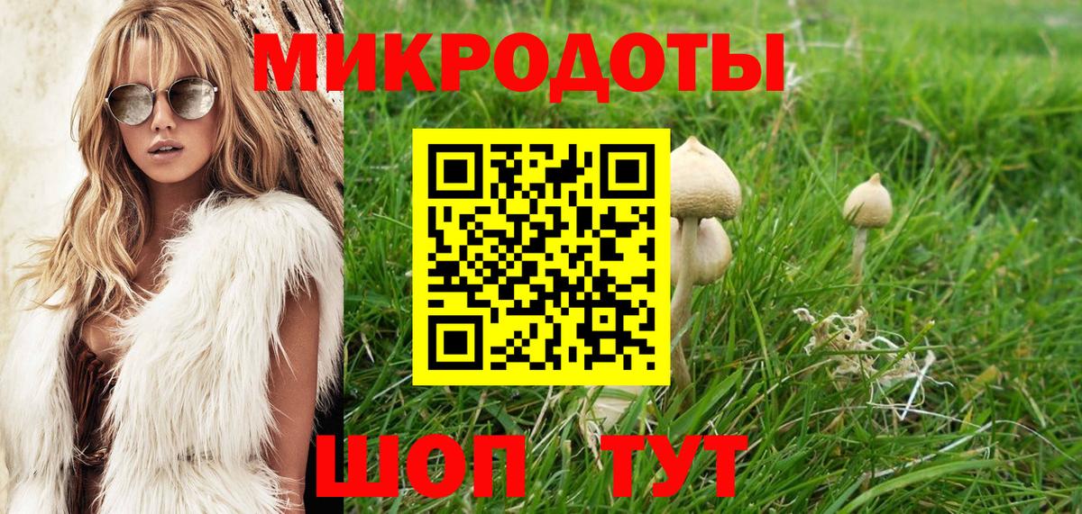 Псилоцибиновые грибы Cubensis Кстово