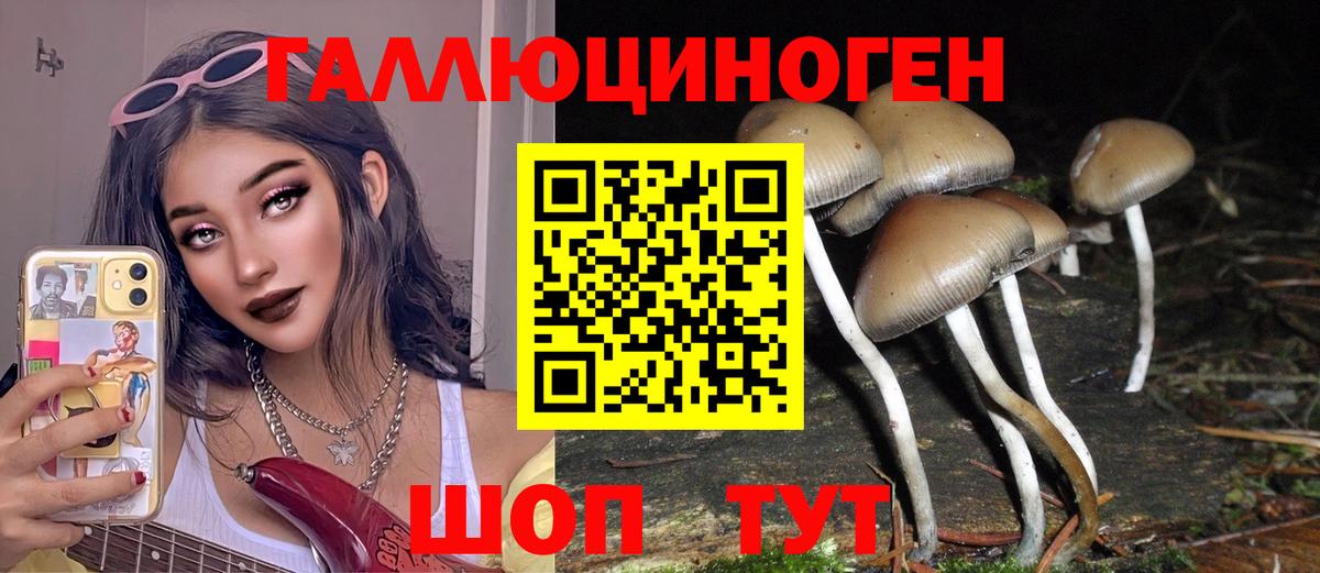 Псилоцибиновые грибы мицелий  Вход с VPN  наркошоп  Псилоцибиновые грибы ЛСД  Кстово 